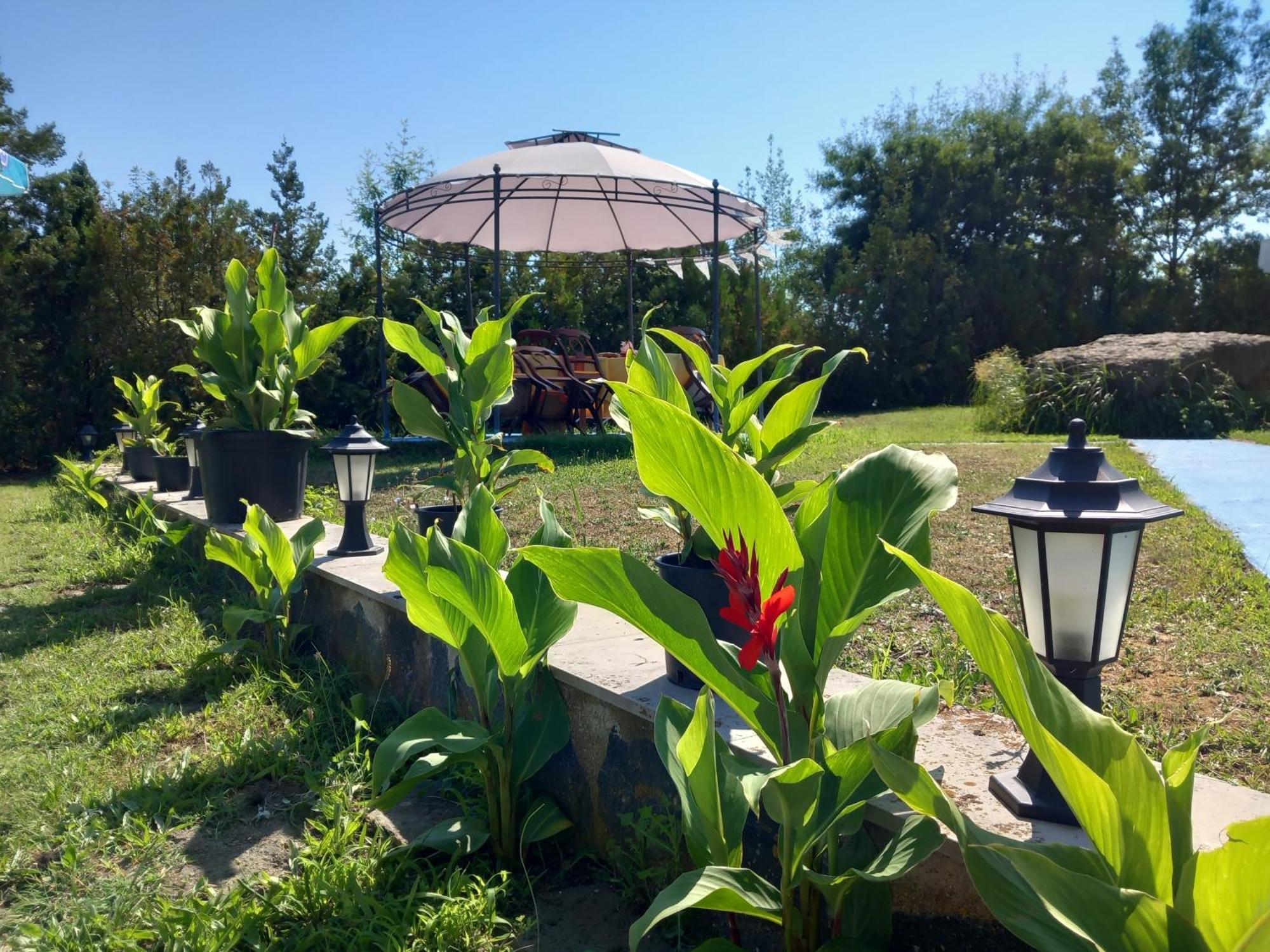 לוזנטס Hotel Sunset Beach מראה חיצוני תמונה